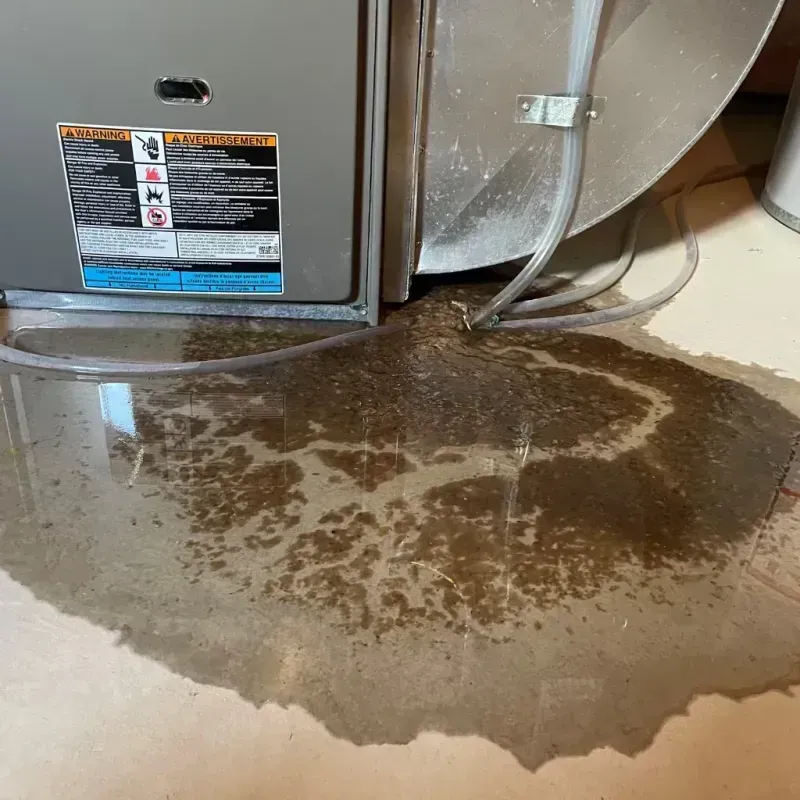 Appliance Leak Cleanup in Sherwood, OH